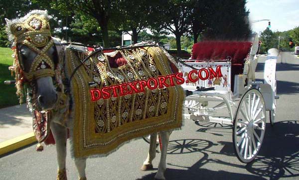 Indian Wedding Designer Horse Costume