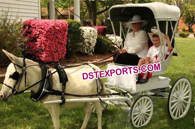 Beautiful Child Carriages