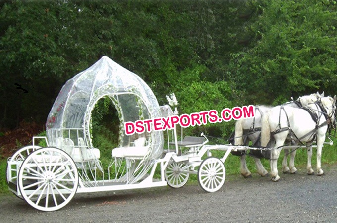 Cinderella Pumpkin Covered Carriages