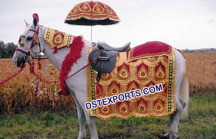 Indian Vivah Decorated Horse Costume