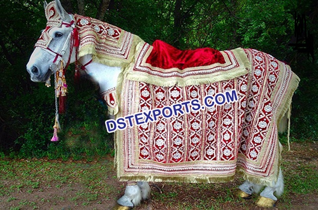 Indian Wedding Horse Decorations