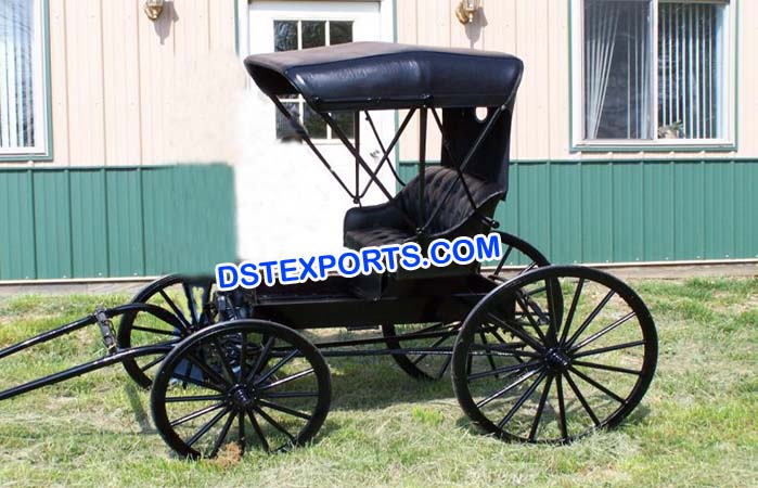 Small Black Horse Drawn Carriage