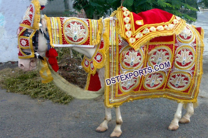 Indian Wedding decorated baraat horse Dress