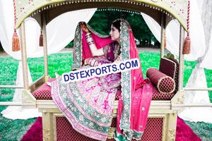 Royal Indian Wedding Doli & Palkis